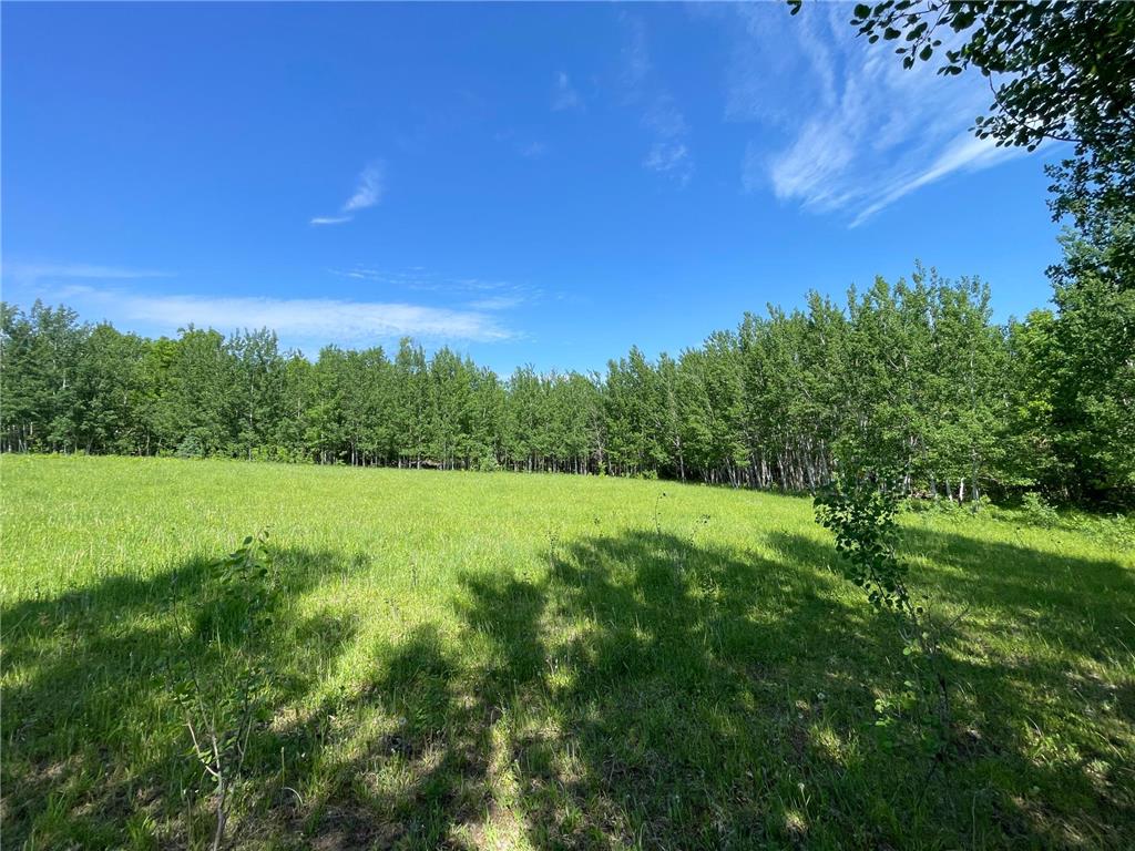 TBD Hwy 92 Holst Twp MN 56634 7089049 image65