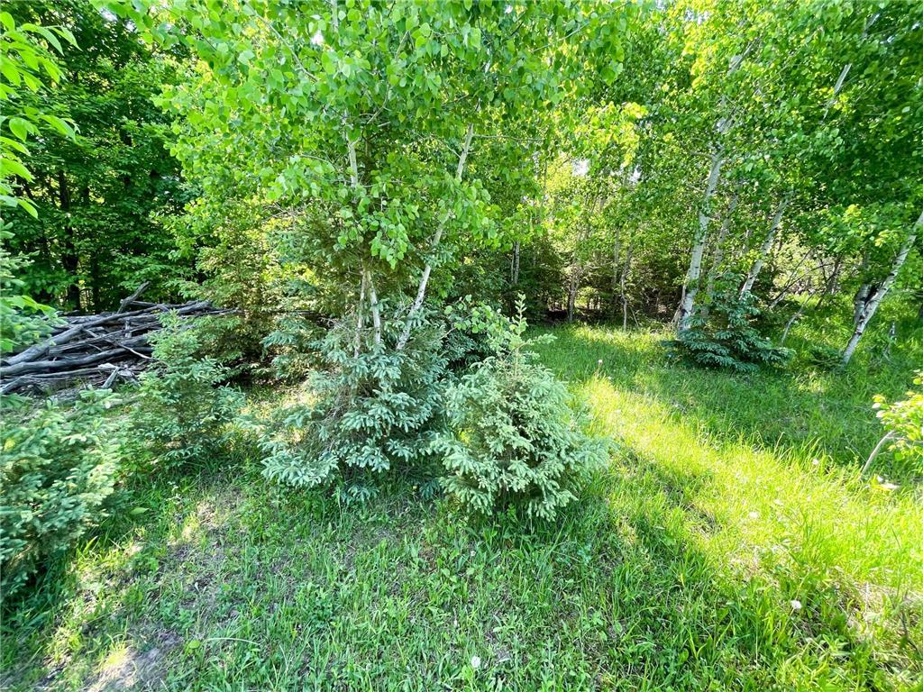 TBD Hwy 92 Holst Twp MN 56634 7089049 image66