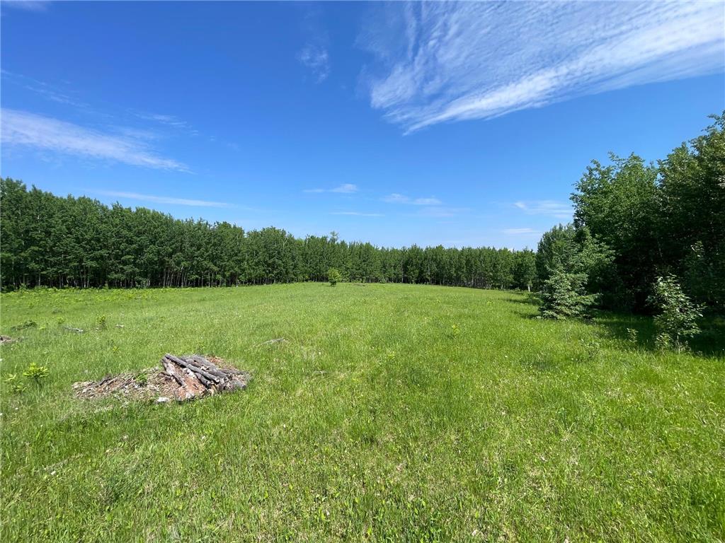TBD Hwy 92 Holst Twp MN 56634 7089049 image69