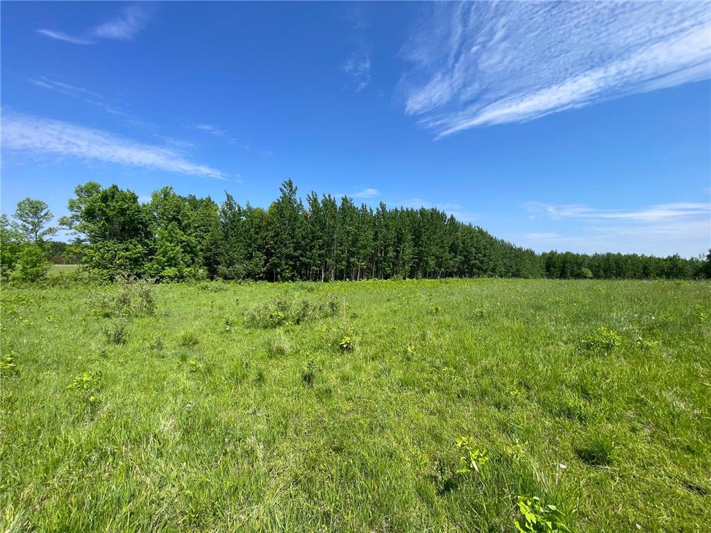 TBD Hwy 92 Holst Twp MN 56634 7089049 image70