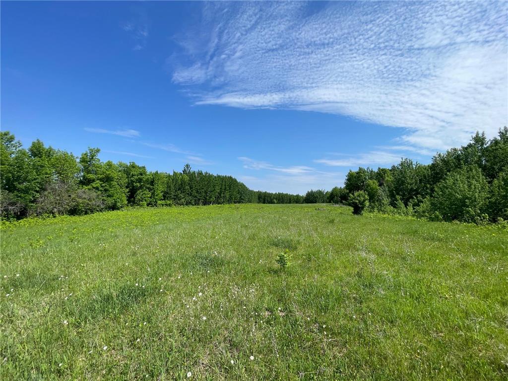 TBD Hwy 92 Holst Twp MN 56634 7089049 image71