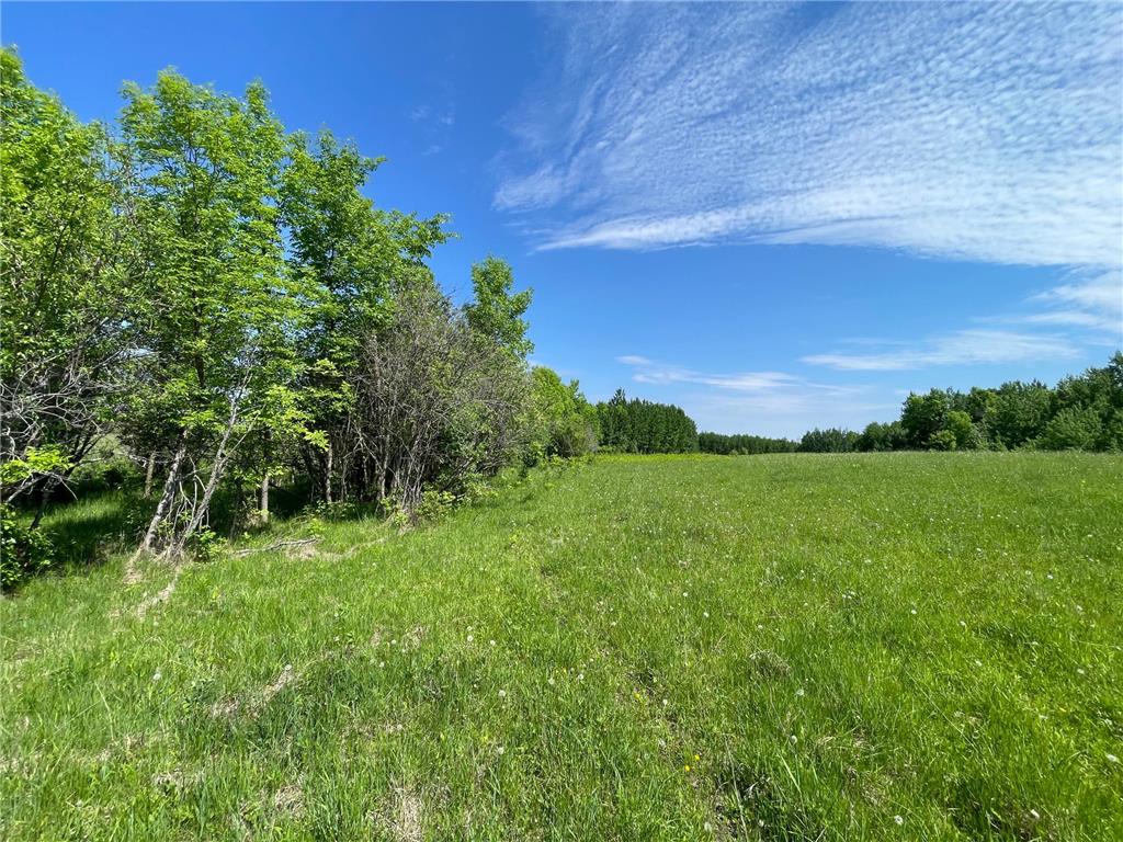 TBD Hwy 92 Holst Twp MN 56634 7089049 image72