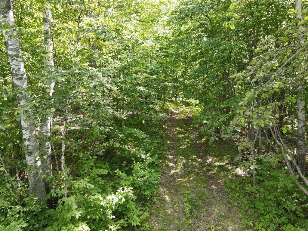 TBD IDAS ROAD Osage MN 56570 - Shell 6699084 image16