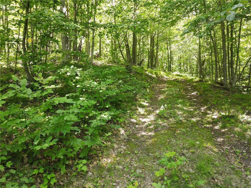 TBD IDAS ROAD Osage MN 56570 - Shell 6699084 image20