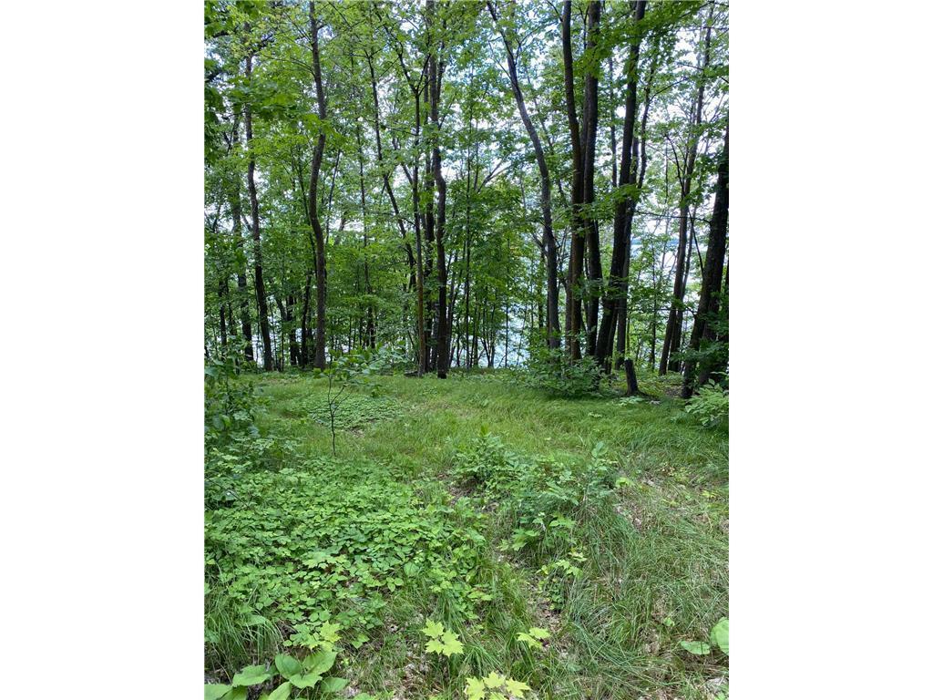 TBD IDAS ROAD Osage MN 56570 - Shell 6699084 image4