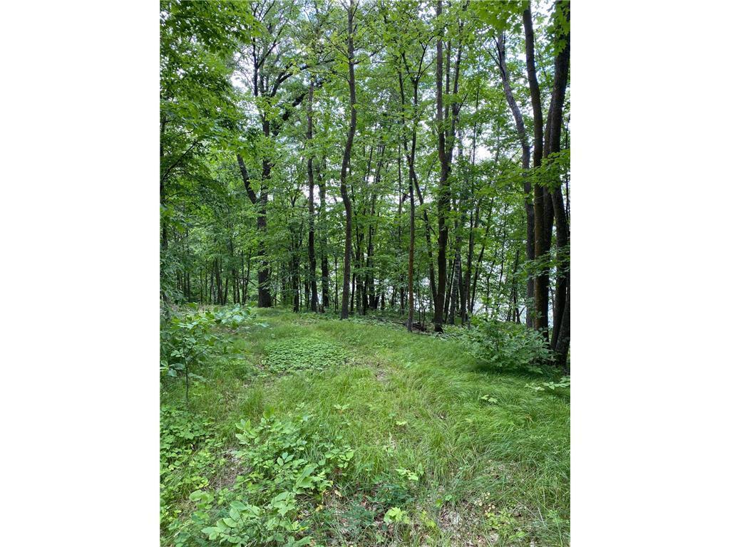 TBD IDAS ROAD Osage MN 56570 - Shell 6699084 image6