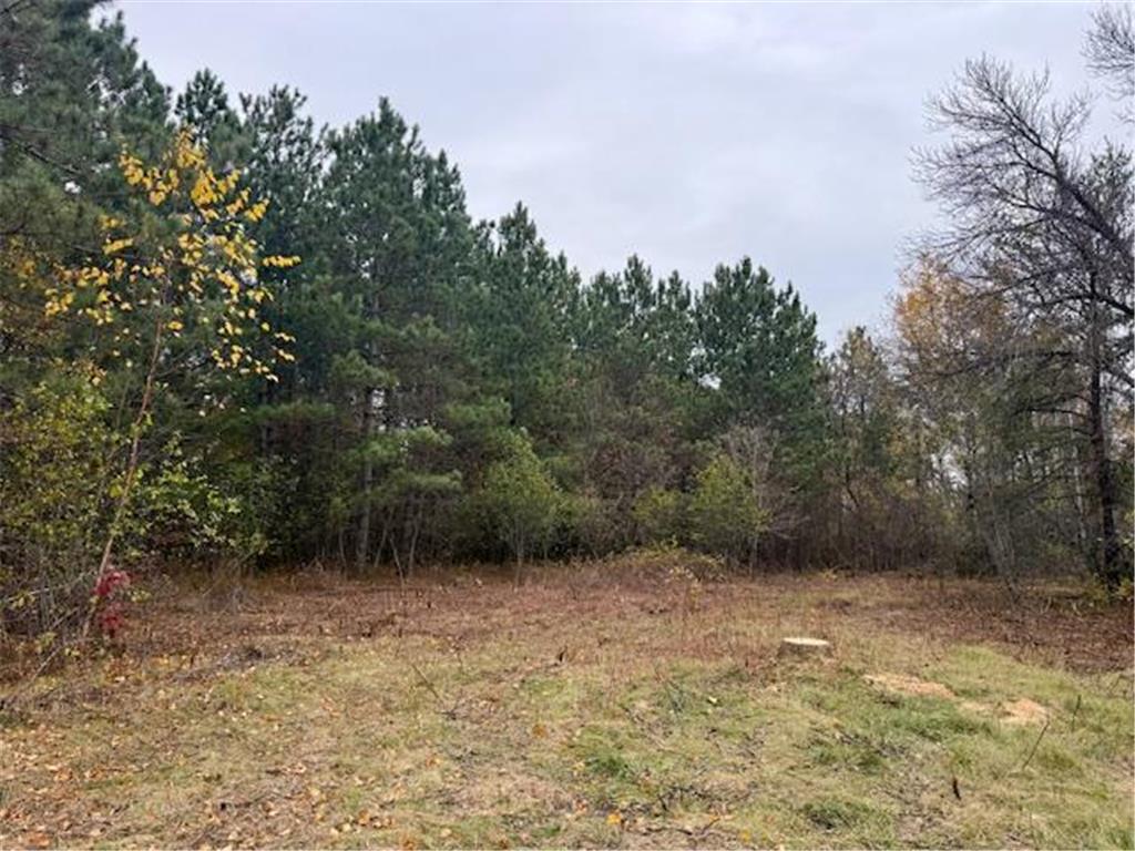 TBD Inglewood Drive Baxter MN 56447 6806555 image8