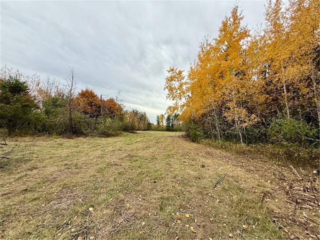 TBD Inglewood Drive Baxter MN 56447 6806555 image9