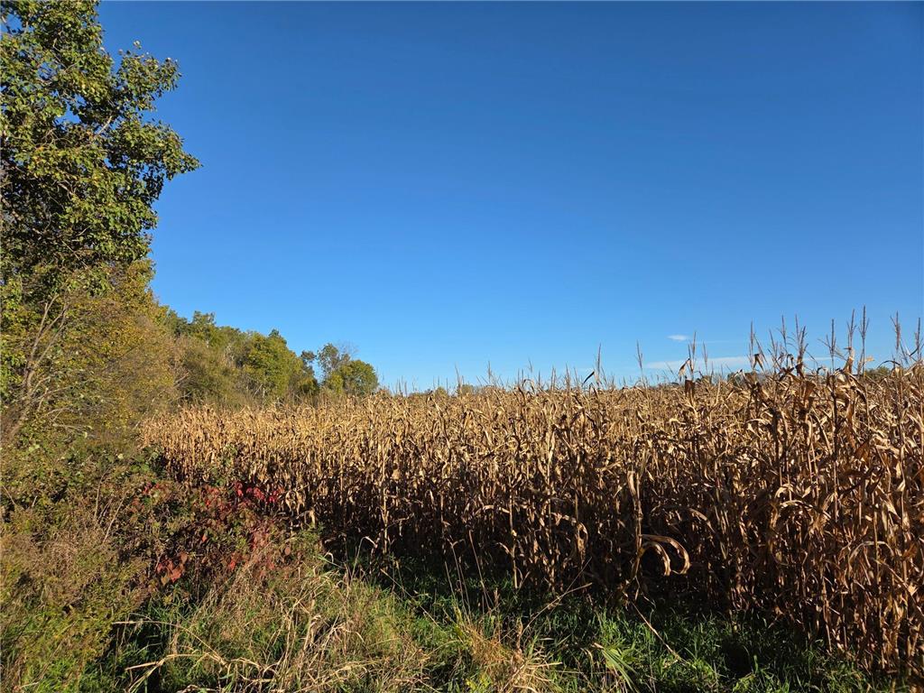 TBD Intersection of Hwy 48 & Hwy 25 Rice Lake WI 548 Stanfold Twp WI 54868 6808832 image2