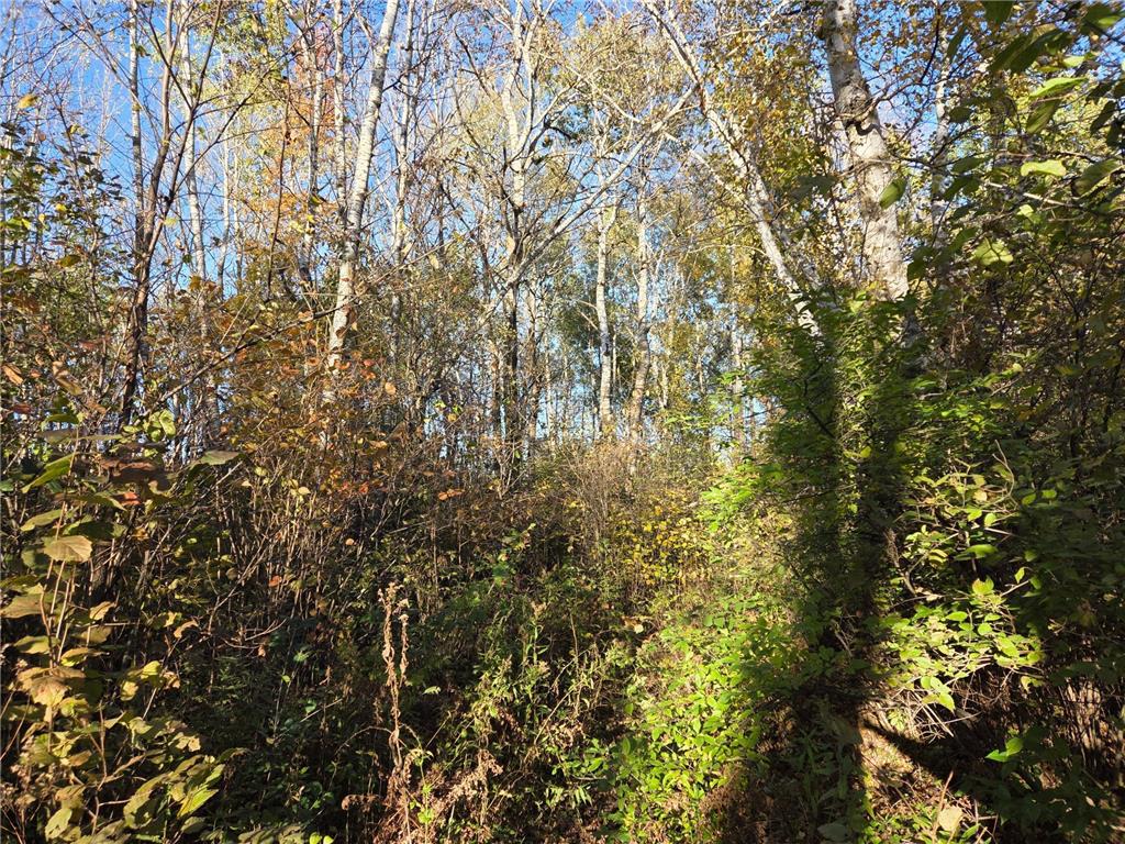 TBD Intersection of Hwy 48 & Hwy 25 Rice Lake WI 548 Stanfold Twp WI 54868 6808832 image3