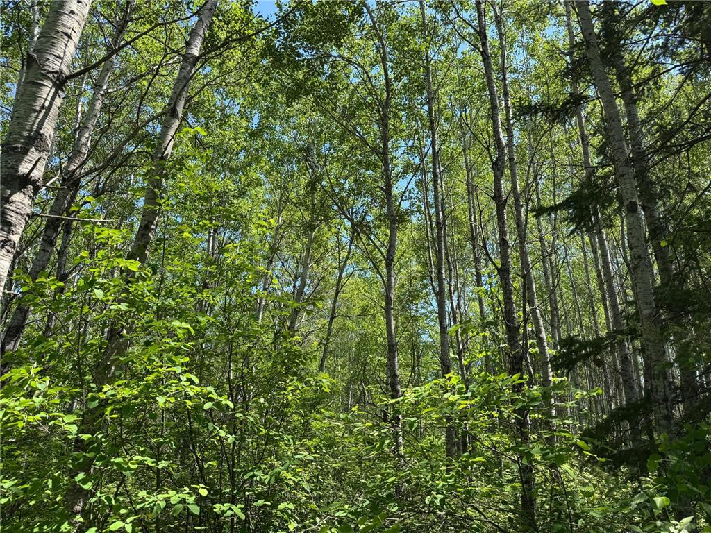 TBD Irondale Road Superior WI 54880 6804465 image2