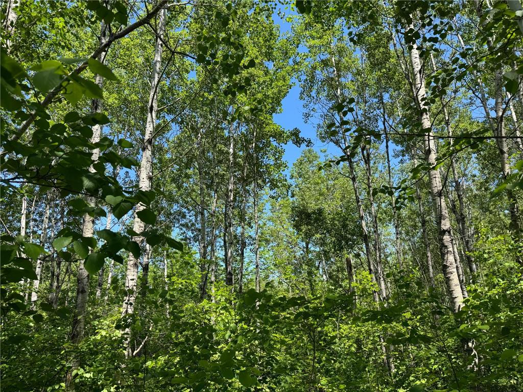 TBD Irondale Road Superior WI 54880 6804465 image3