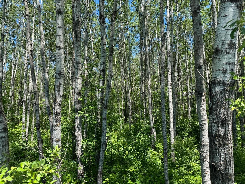 TBD Irondale Road Superior WI 54880 6804465 image5