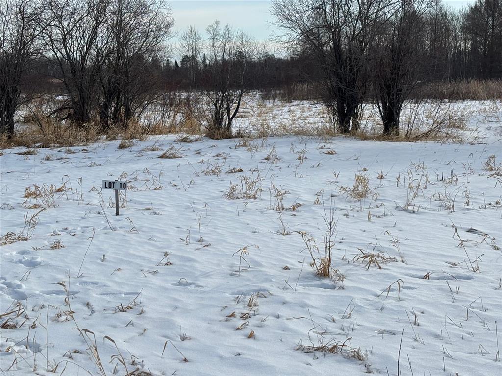 Lot 10 Irvine Avenue NW Bemidji MN 56601 7028269 image2