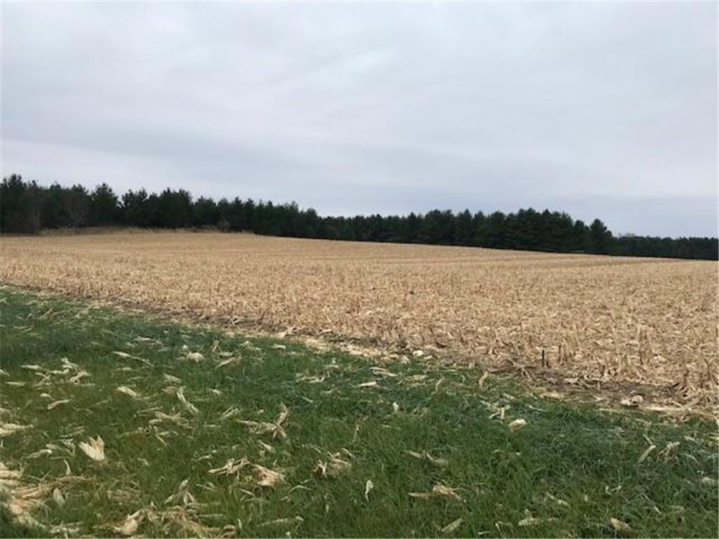 TBD Island Estates (site12) Dr NW Pine Island MN 55963 5708753 image2