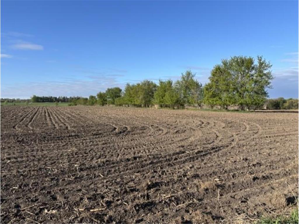 TBD Island Estates (site 12) Drive NW Pine Island MN 55963 5708753 image3