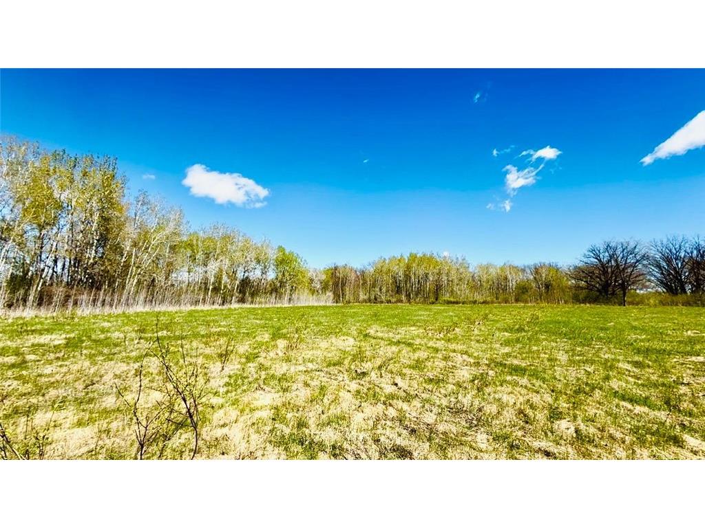 TBD Ivy Rd. Borgholm Twp MN 56353 7071262 image1