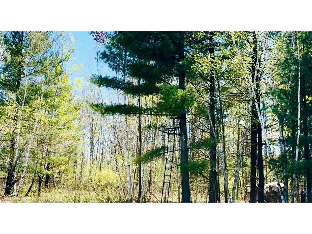TBD Ivy Rd. Borgholm Twp MN 56353 7071262 image3