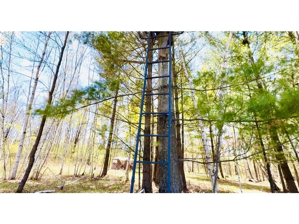 TBD Ivy Rd. Borgholm Twp MN 56353 7071262 image7