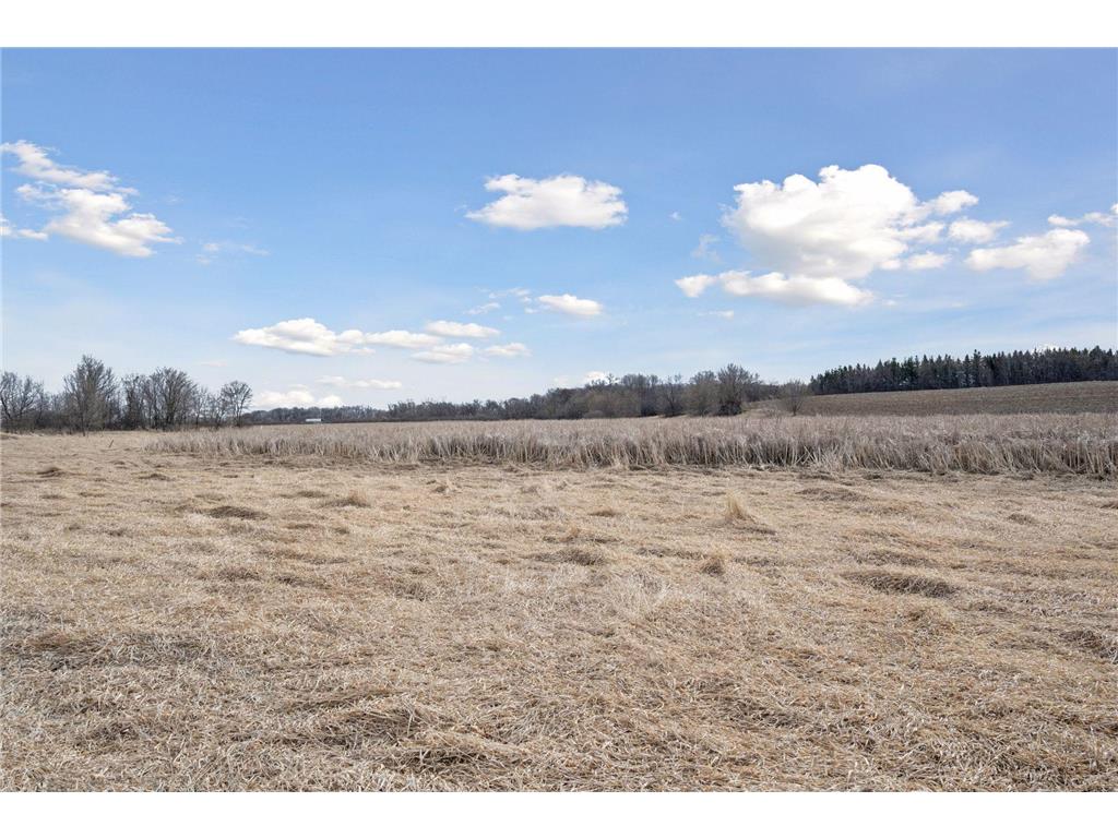 TBD Jason Avenue Monticello Twp MN 55362 7045441 image27