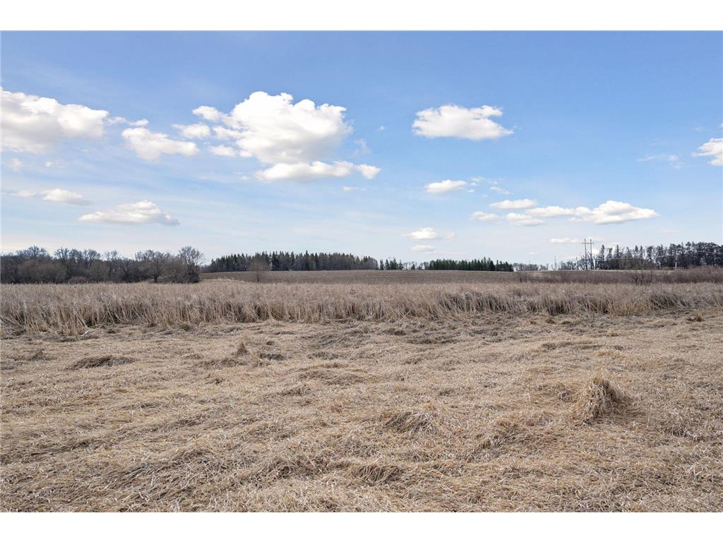 TBD Jason Avenue Monticello Twp MN 55362 7045441 image28