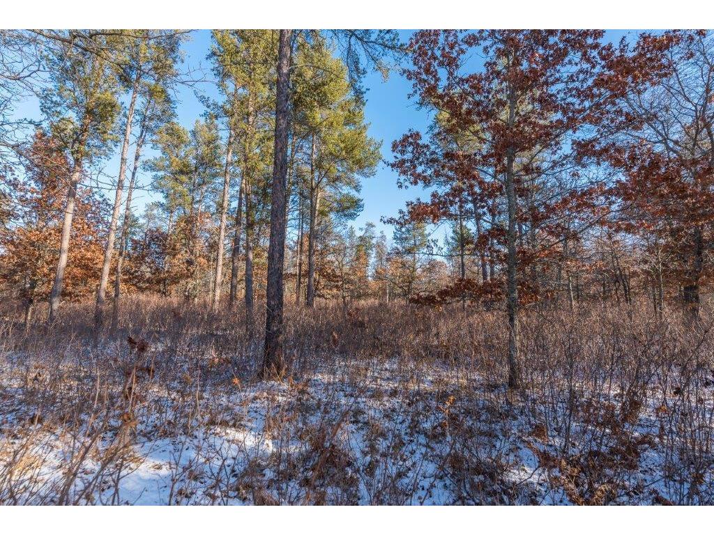 TBD Jasperwood Drive Baxter MN 56425 6642920 image10