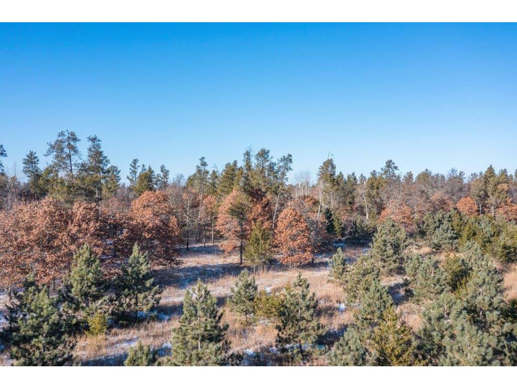 TBD Jasperwood Drive Baxter MN 56425 6642920 image6