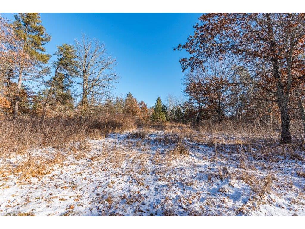 TBD Jasperwood Drive Baxter MN 56425 6642920 image9