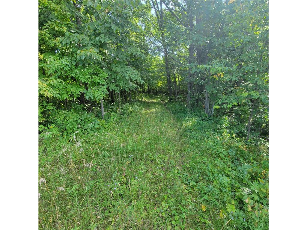 TBD Jeff Lake Road Rush Lake Twp MN 56576 6780563 image7