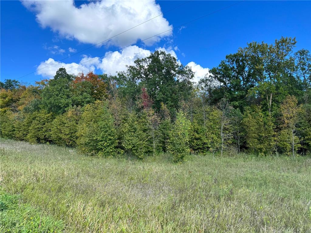 TBD Jeff Lake Road Rush Lake Twp MN 56576 7080106 image13