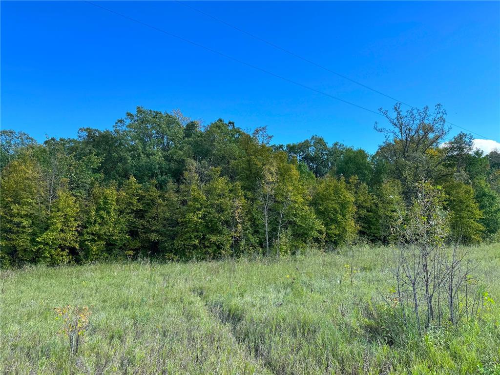 TBD Jeff Lake Road Rush Lake Twp MN 56576 7080106 image16