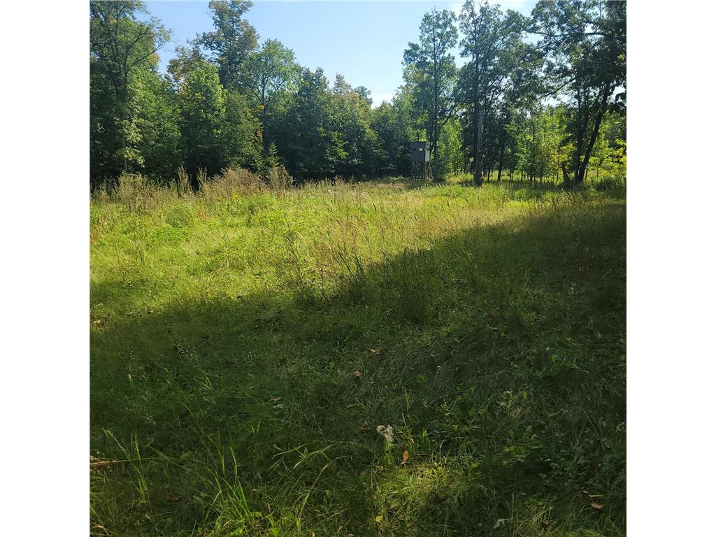 TBD Jeff Lake Road Rush Lake Twp MN 56576 7080106 image3