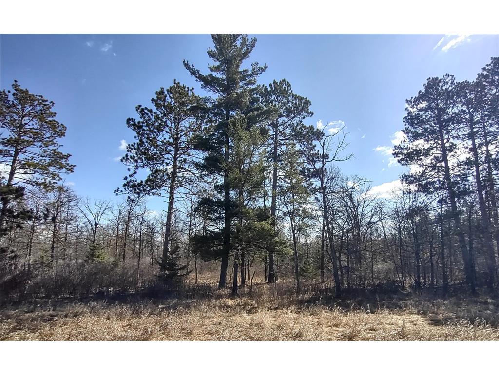 TBD Jefferson Avenue SW Bemidji MN 56601 6332412 image1