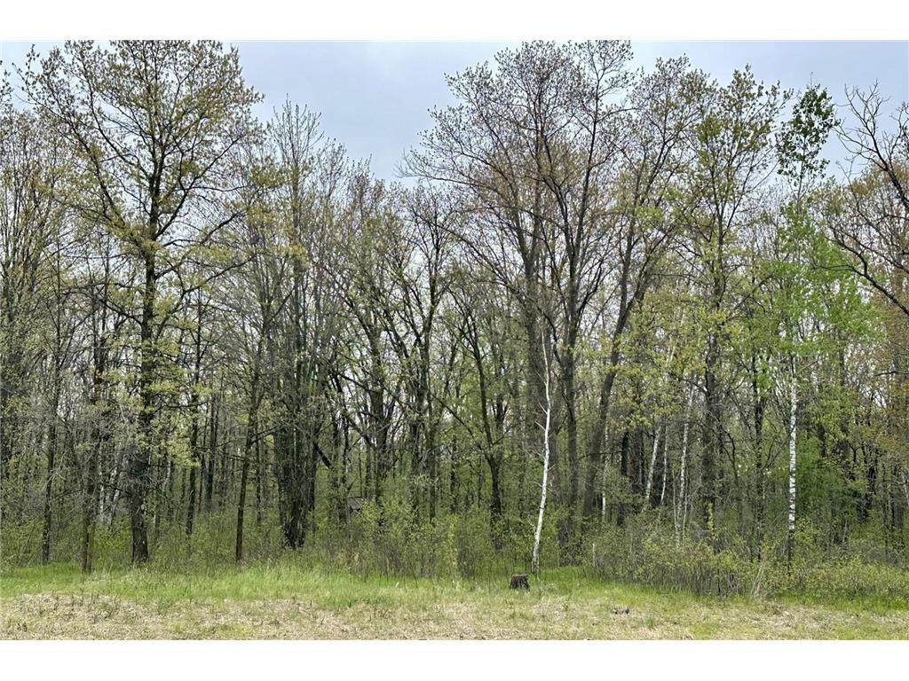TBD Jewel Road Little Falls MN 56345 7074498 image1