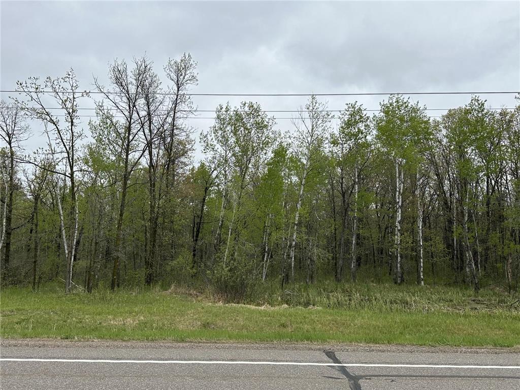 TBD Jewel Road Little Falls MN 56345 7074498 image3
