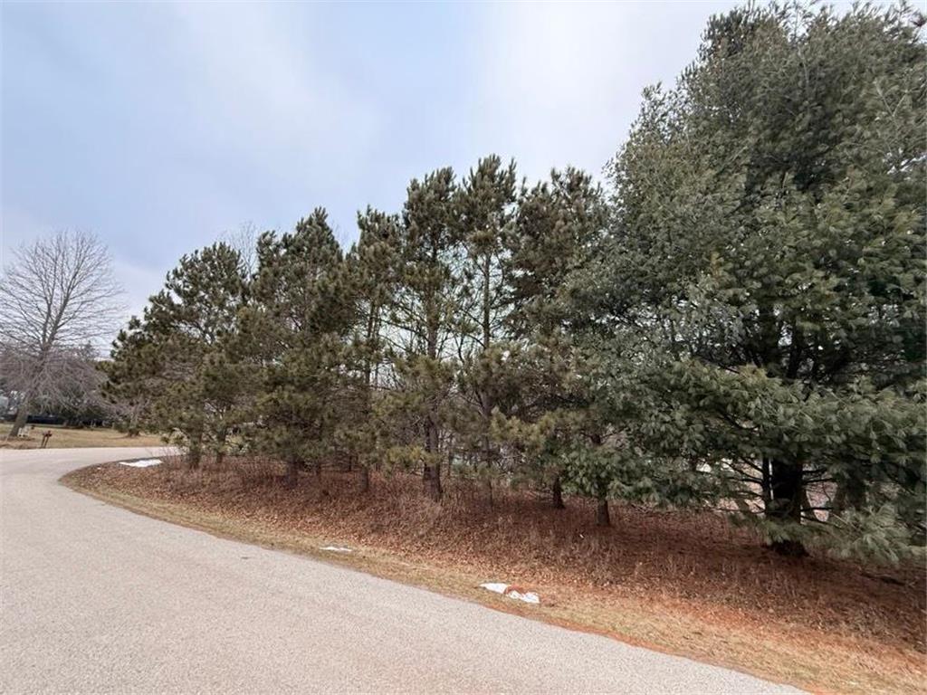 TBD KC Dr Homer Twp MN 55987 6643985 image2