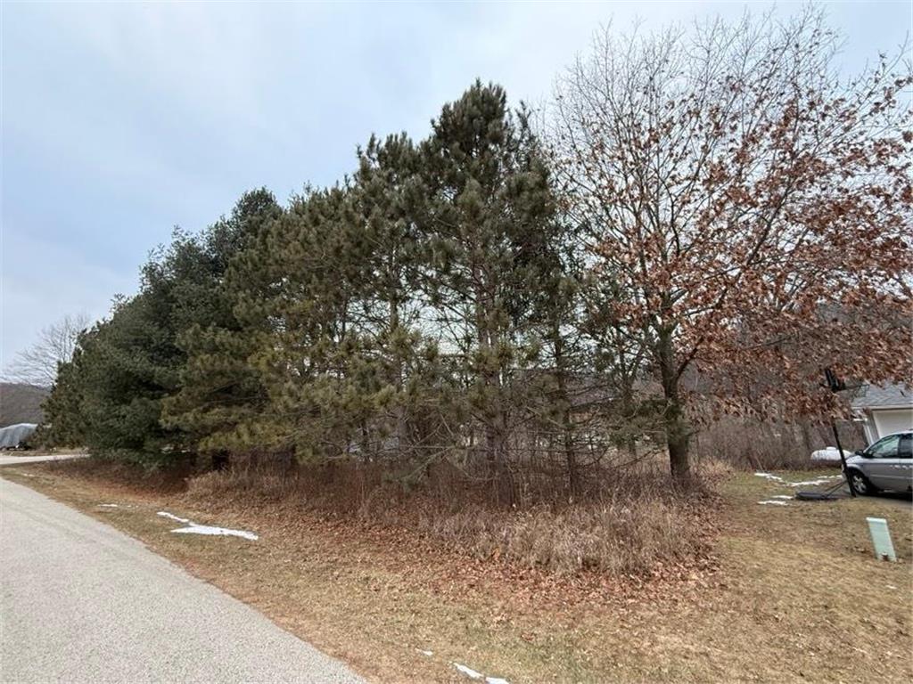 TBD KC Dr Homer Twp MN 55987 6643985 image4