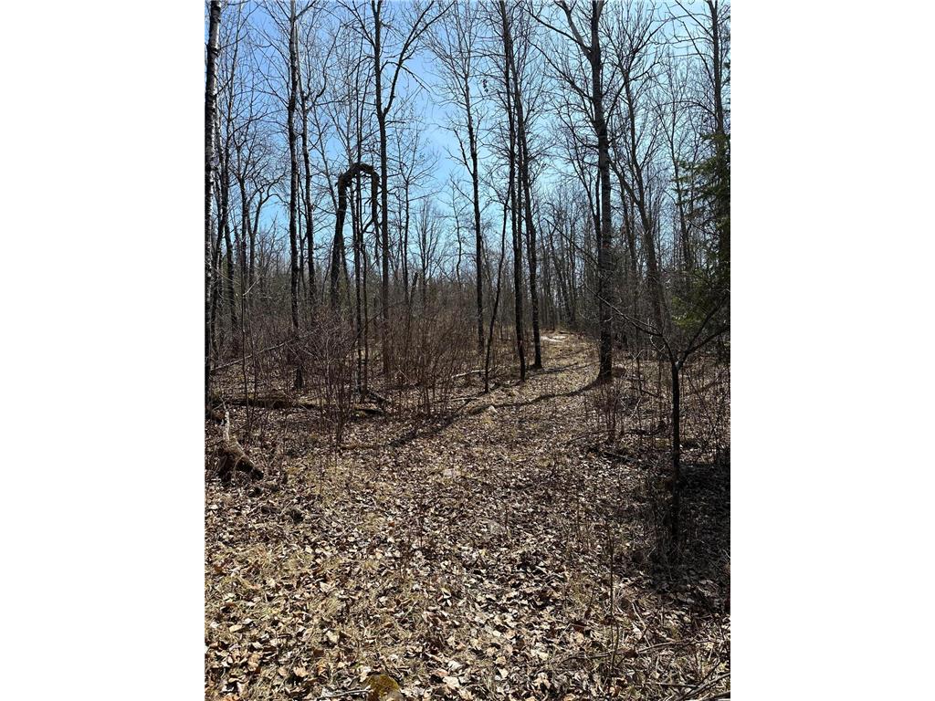 TBD Kabetogama Lake W Kabetogama Twp MN 56669 - Kabetogama Lake 6550947 image11