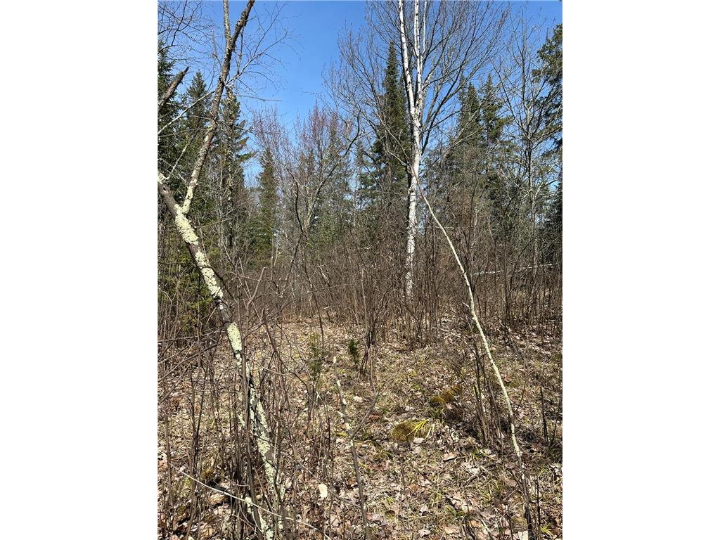 TBD Kabetogama Lake W Kabetogama Twp MN 56669 - Kabetogama Lake 6550947 image12