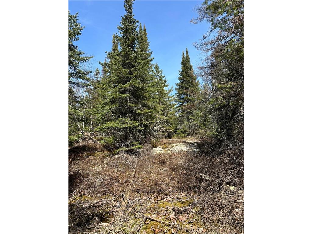 TBD Kabetogama Lake W Kabetogama Twp MN 56669 - Kabetogama Lake 6550947 image13