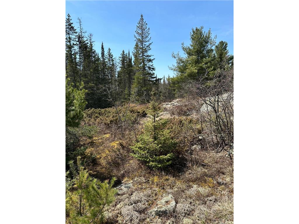 TBD Kabetogama Lake W Kabetogama Twp MN 56669 - Kabetogama Lake 6550947 image14