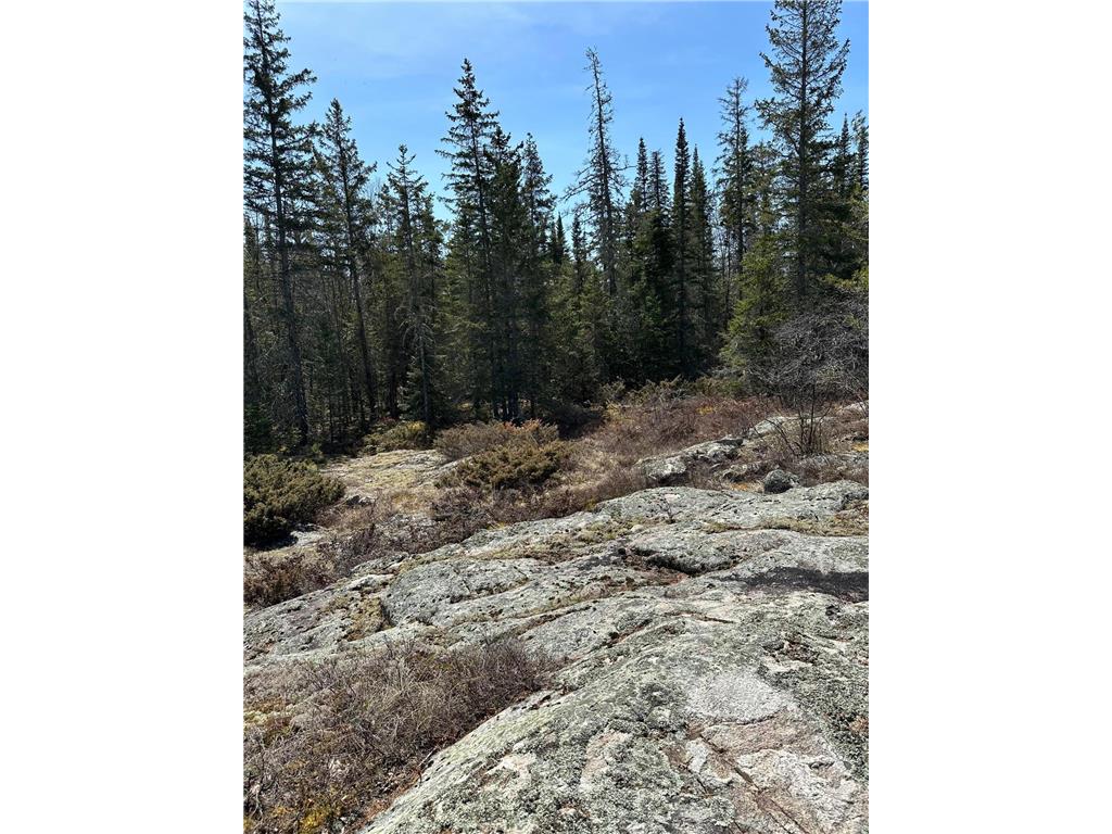 TBD Kabetogama Lake W Kabetogama Twp MN 56669 - Kabetogama Lake 6550947 image15