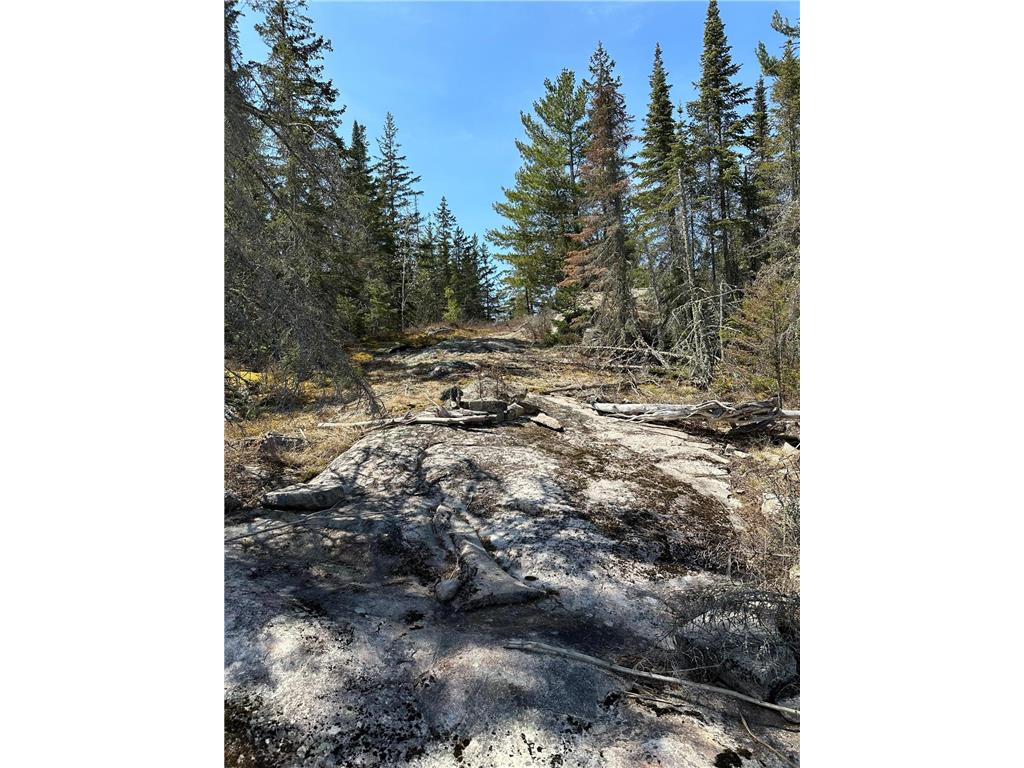 TBD Kabetogama Lake W Kabetogama Twp MN 56669 - Kabetogama Lake 6550947 image16