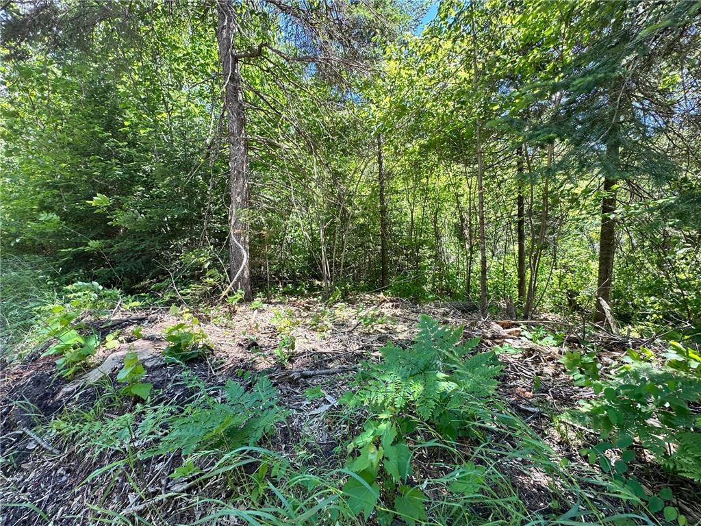 TBD Kansas City Road NE Waskish Twp MN 56685 - Red 7103283 image10