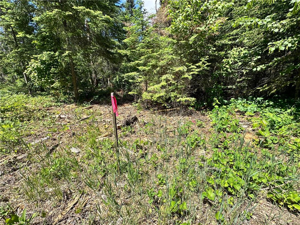 TBD Kansas City Road NE Waskish Twp MN 56685 - Red 7103283 image13