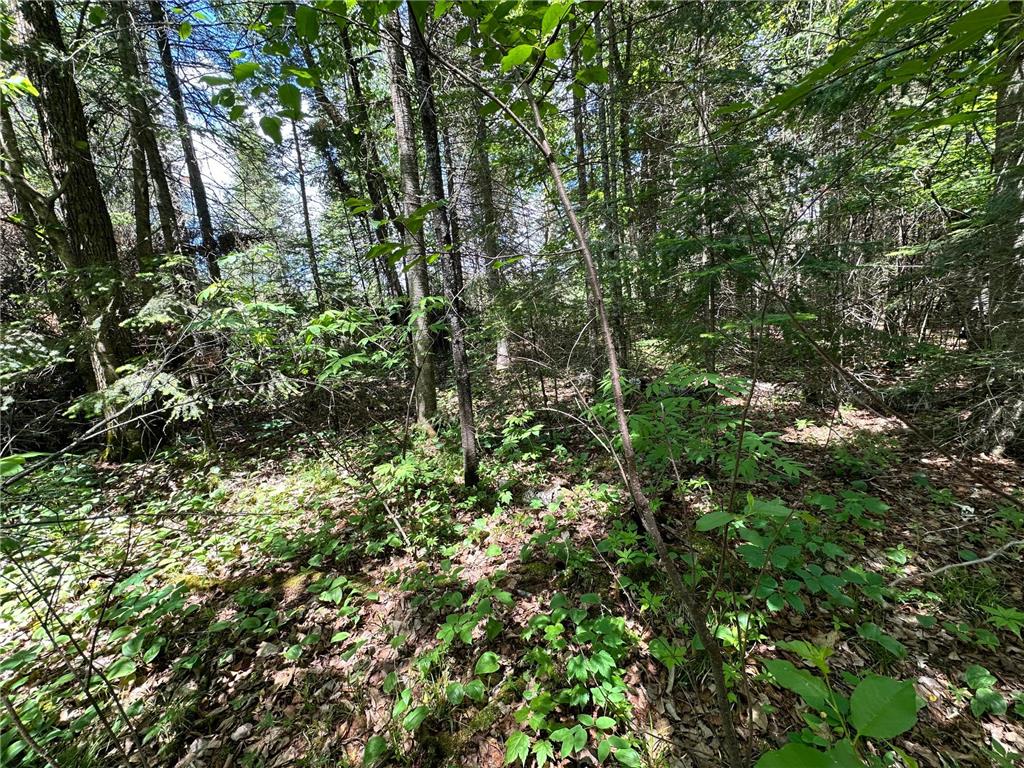 TBD Kansas City Road NE Waskish Twp MN 56685 - Red 7103283 image7
