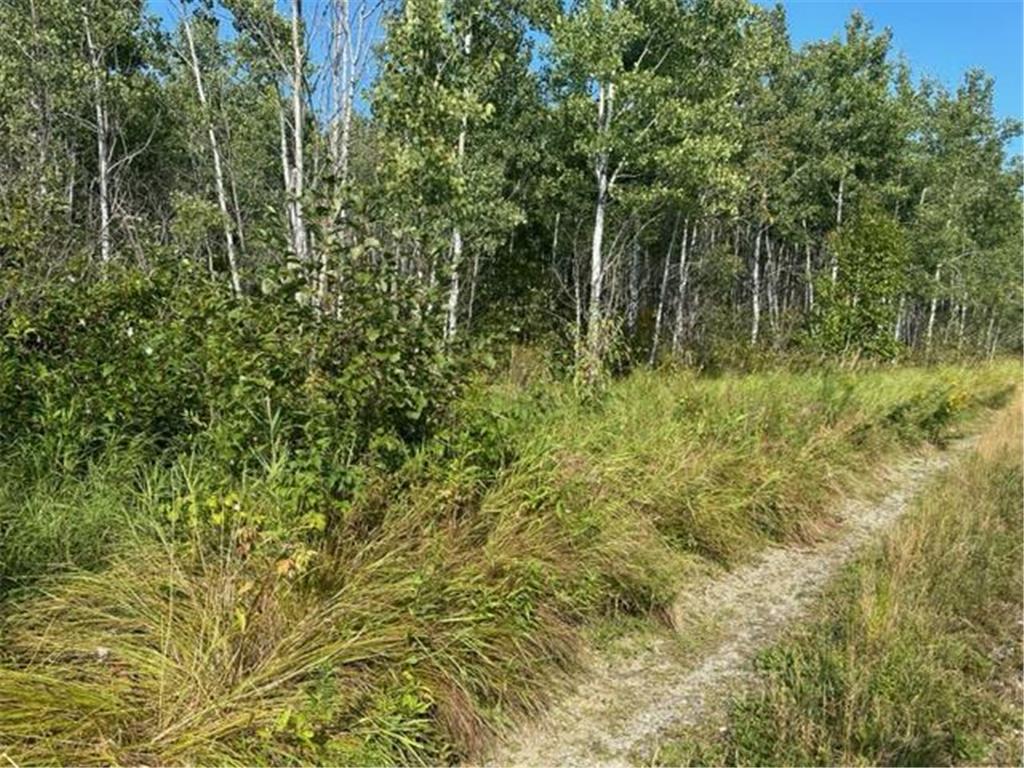 TBD Karjala Road Tower MN 55790 - West Two River 6432023 image1
