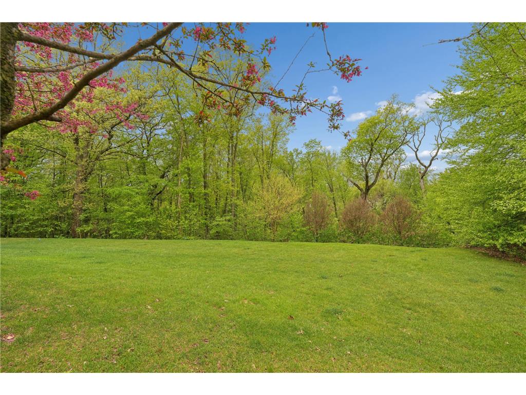 TBD Karoline Court N Forest Lake MN 55025 - Forest 7035521 image10
