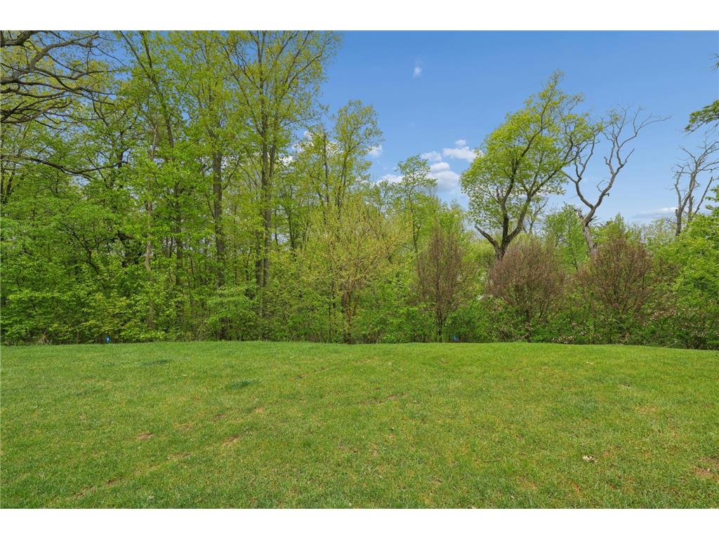 TBD Karoline Court N Forest Lake MN 55025 - Forest 7035521 image11