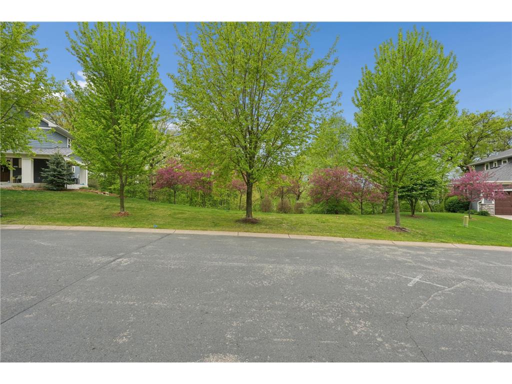 TBD Karoline Court N Forest Lake MN 55025 - Forest 7035521 image7
